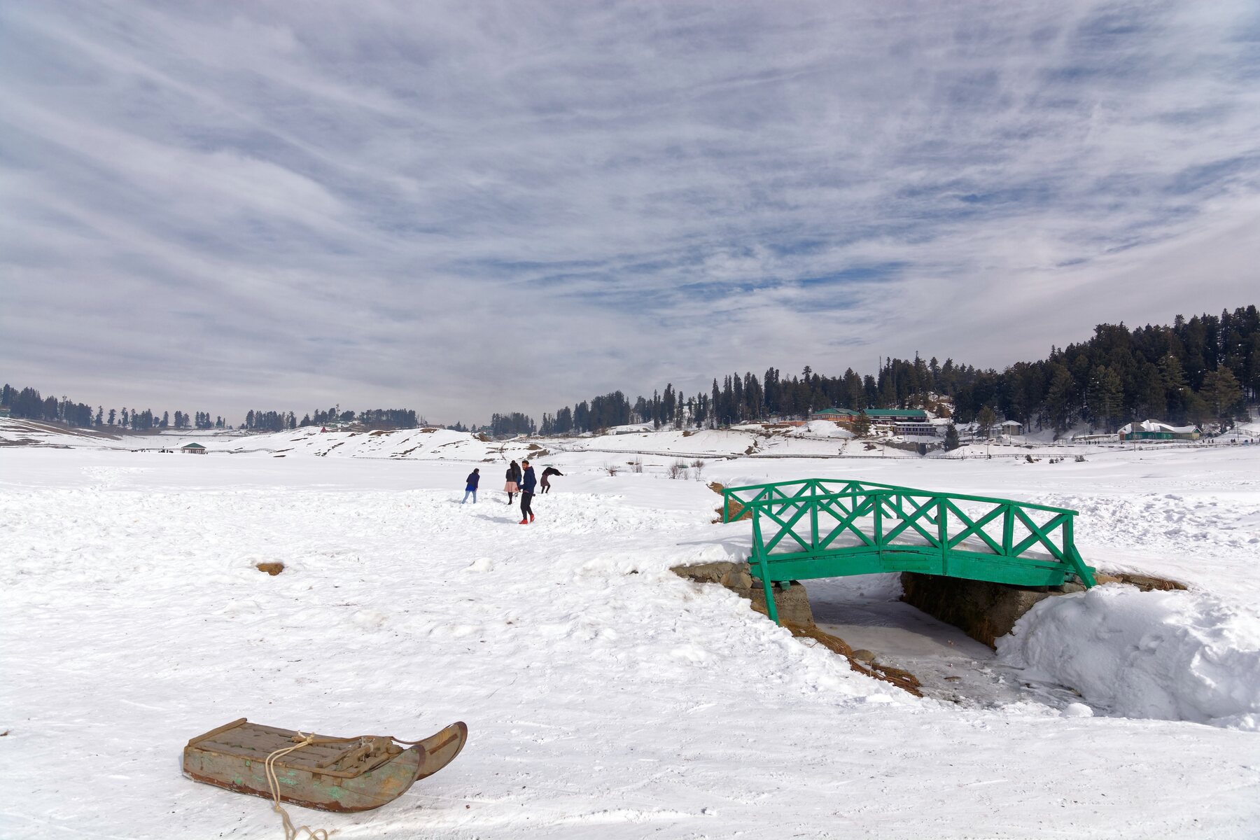 Gulmarg, Kashmir - Meadow of Flowers