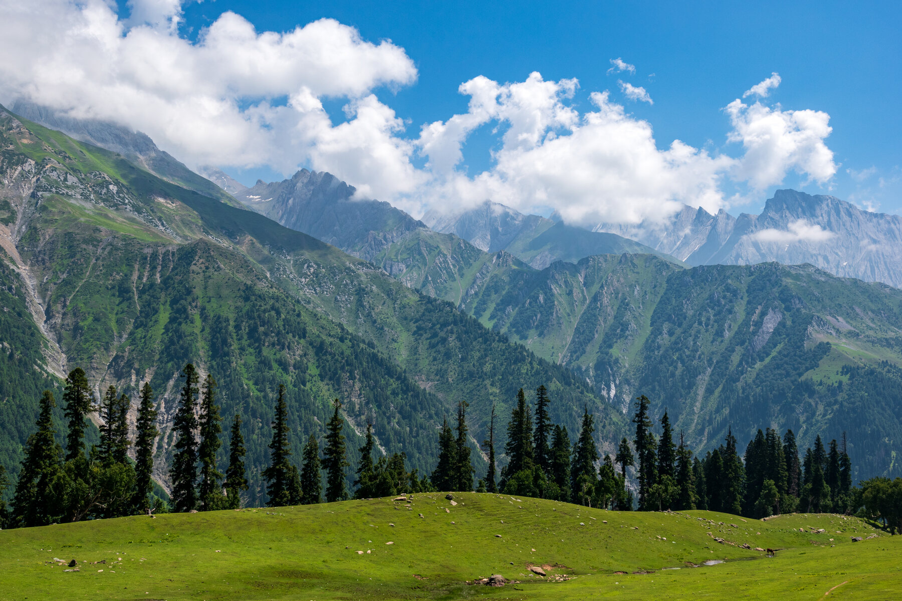 Sonamarg, Kashmir - Meadow of Gold